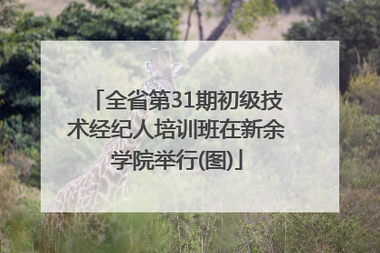 全省第31期初级技术经纪人培训班在新余学院举行(图)