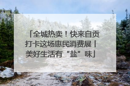 全城热卖！快来自贡打卡这场惠民消费展丨美好生活有“盐”味