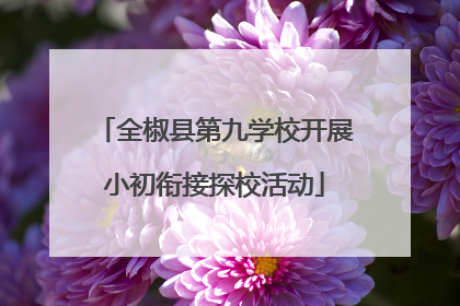 全椒县第九学校开展小初衔接探校活动