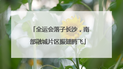 全运会落子长沙，南部融城片区振翅腾飞