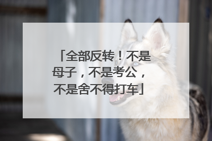 全部反转！不是母子，不是考公，不是舍不得打车