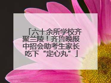 六十余所学校齐聚兰陵！齐鲁晚报中招会助考生家长吃下“定心丸”