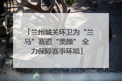 兰州城关环卫为“兰马”赛道“美颜” 全力保障赛事环境