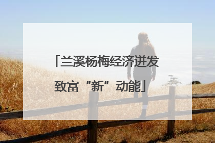 兰溪杨梅经济迸发致富“新”动能