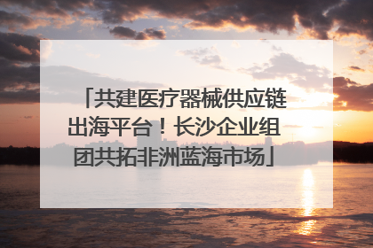 共建医疗器械供应链出海平台！长沙企业组团共拓非洲蓝海市场