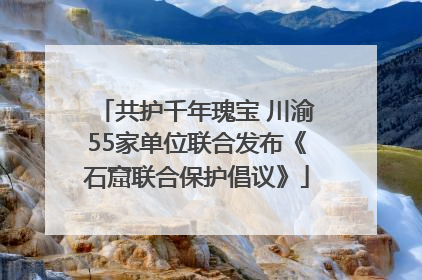 共护千年瑰宝 川渝55家单位联合发布《石窟联合保护倡议》