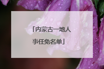 内蒙古一地人事任免名单