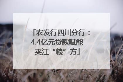 农发行四川分行：4.4亿元贷款赋能夹江“粮”方