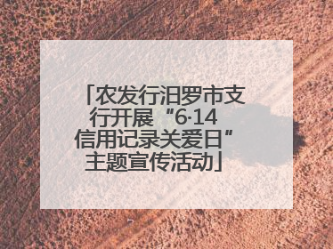 农发行汨罗市支行开展“6·14信用记录关爱日”主题宣传活动