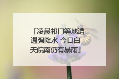 凌晨祁门等地遭遇强降水 今日白天皖南仍有暴雨