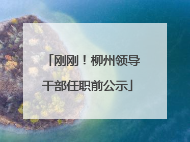刚刚！柳州领导干部任职前公示