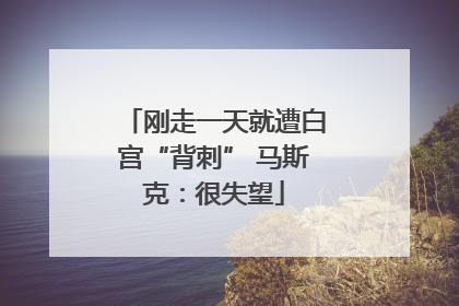 刚走一天就遭白宫“背刺” 马斯克：很失望