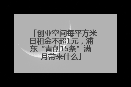 创业空间每平方米日租金不超1元，浦东“青创15条”满月带来什么