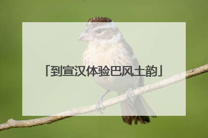 到宣汉体验巴风土韵