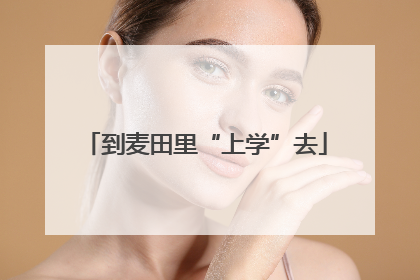 到麦田里“上学”去
