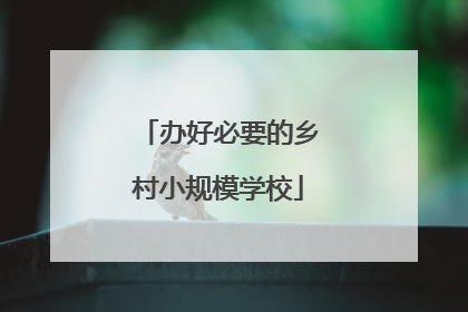 办好必要的乡村小规模学校