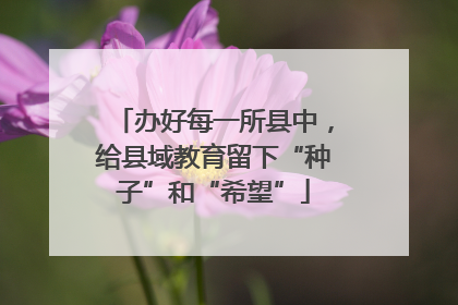 办好每一所县中，给县域教育留下“种子”和“希望”