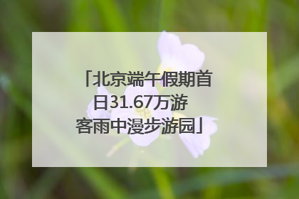 北京端午假期首日31.67万游客雨中漫步游园