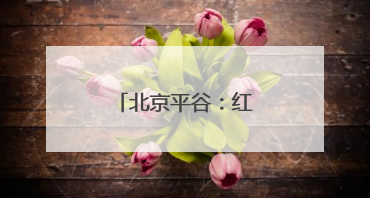 北京平谷：红杏成熟上市