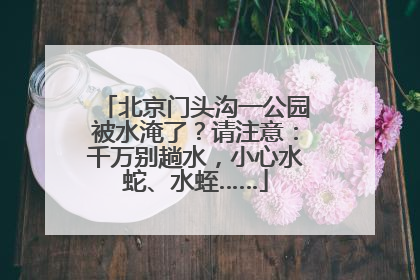 北京门头沟一公园被水淹了？请注意：千万别趟水，小心水蛇、水蛭……