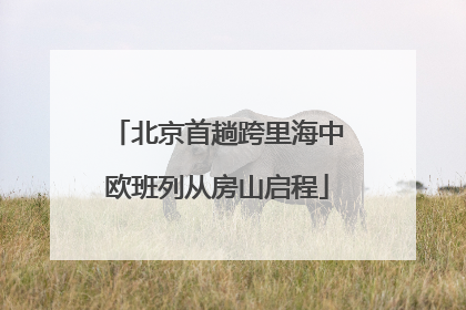 北京首趟跨里海中欧班列从房山启程