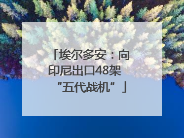 埃尔多安：向印尼出口48架“五代战机”