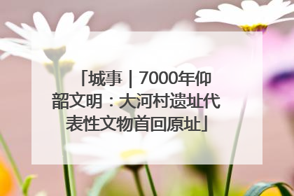 城事｜7000年仰韶文明：大河村遗址代表性文物首回原址