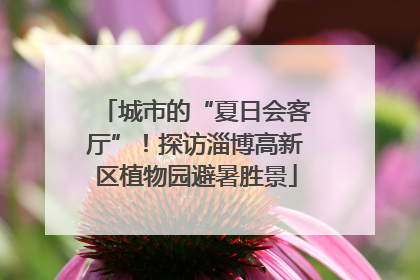 城市的“夏日会客厅”！探访淄博高新区植物园避暑胜景