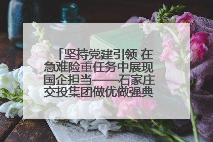 坚持党建引领 在急难险重任务中展现国企担当——石家庄交投集团做优做强典型报道之一