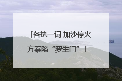 各执一词 加沙停火方案陷“罗生门”