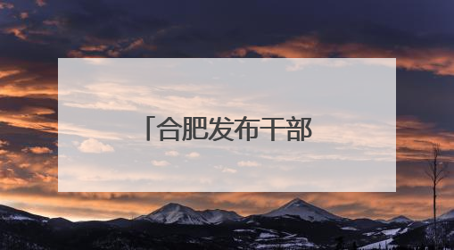 合肥发布干部任前公示公告