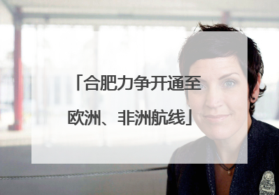 合肥力争开通至欧洲、非洲航线