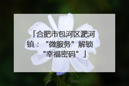 合肥市包河区淝河镇：“微服务”解锁“幸福密码”