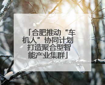 合肥推动“车机人”协同计划 打造聚合型智能产业集群