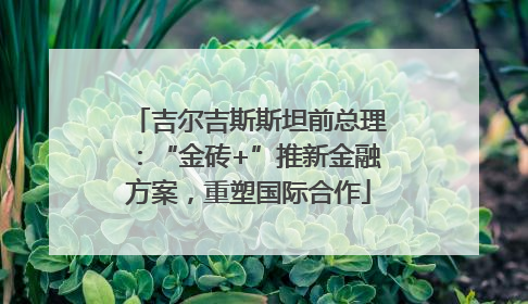 吉尔吉斯斯坦前总理：“金砖+”推新金融方案，重塑国际合作
