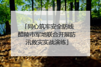 同心筑牢安全防线 醴陵市军地联合开展防汛救灾实战演练