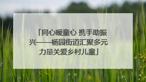同心暖童心 携手助振兴——杨园街道汇聚多元力量关爱乡村儿童
