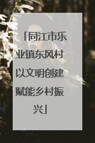 同江市乐业镇东风村以文明创建赋能乡村振兴
