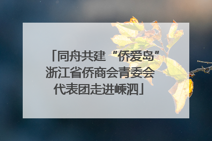同舟共建“侨爱岛” 浙江省侨商会青委会代表团走进嵊泗