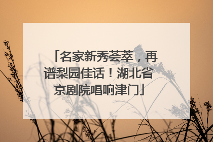 名家新秀荟萃，再谱梨园佳话！湖北省京剧院唱响津门