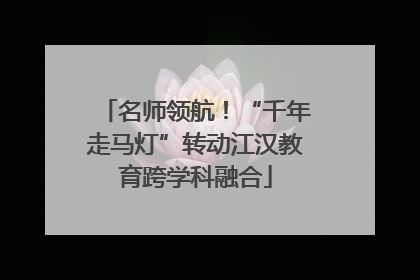 名师领航！“千年走马灯”转动江汉教育跨学科融合