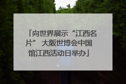 向世界展示“江西名片” 大阪世博会中国馆江西活动日举办