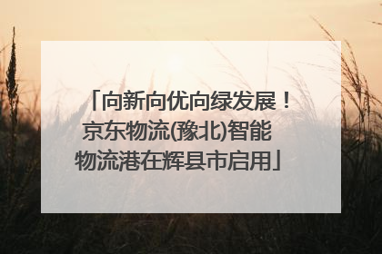 向新向优向绿发展！京东物流(豫北)智能物流港在辉县市启用