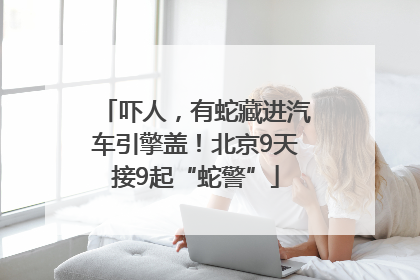 吓人，有蛇藏进汽车引擎盖！北京9天接9起“蛇警”
