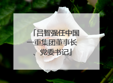 吕智强任中国一重集团董事长、党委书记