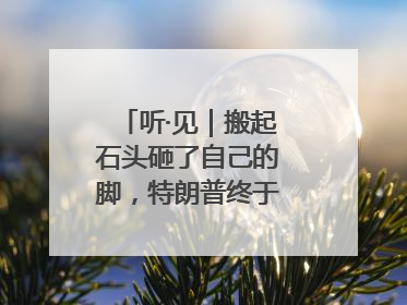听·见｜搬起石头砸了自己的脚，特朗普终于“慌”了！