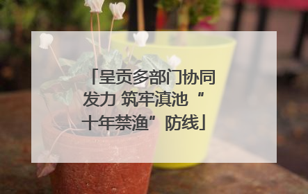 呈贡多部门协同发力 筑牢滇池“十年禁渔”防线