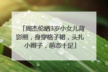 周杰伦晒3岁小女儿背影照，身穿格子裙，头扎小辫子，萌态十足