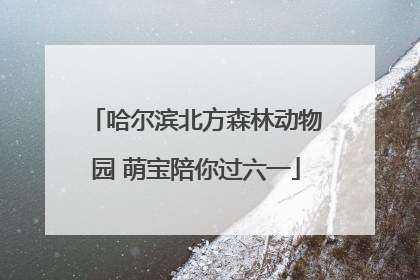哈尔滨北方森林动物园 萌宝陪你过六一