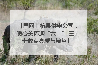 国网上杭县供电公司：暖心关怀迎“六一” 三十载点亮爱与希望